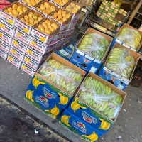 حسابداری میدون تره بار