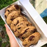 کوکی|خوردنی و آشامیدنی|سبزوار, قصبه اب یمین|دیوار