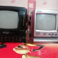 تلویزیون کوچک