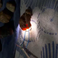 عقیق یشم دُرو...|کلکسیون اشیاء عتیقه|شیراز, بازار|دیوار