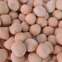 محصولات لبنیات محلی