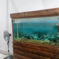 پمپ، بخاری استیل، تصویه آکواریوم بزرگ و قوی و