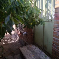 تسوج فروش خانه کلنگی|فروش خانه و ویلا|تسوج, |دیوار