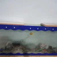 اکواریوم ۱/۵ طول و عرض ۳۰ ارتفاع ۶۰سانتی متر|لوازم جانبی حیوانات|ایلام, |دیوار