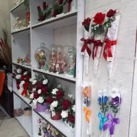 گلهای مصنوعی|صنایع دستی و سایر لوازم تزئینی|لاهیجان, پردسر|دیوار