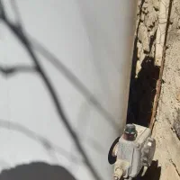 لوازم آشپز خانه