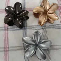 کلیپس|زیورآلات و اکسسوری|تهران, مشیریه|دیوار