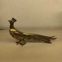 ست طاووس خوابیده و ایستاده