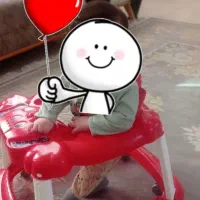 یک عددرروئک و پشه بند