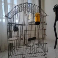 رو عدد قفس یکی خیلی بزرگ یکی کوچک