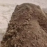 کود حیوانی سوخته