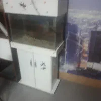 فروش اکواریم