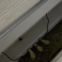 پیانو بگمولر آلمانی|پیانو، کیبورد، آکاردئون|خرمآباد, |دیوار