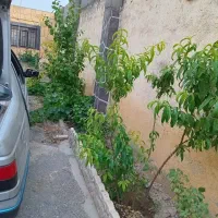 فروش خانه ویلایی ۵۰۰ متری ۲ خوابه در گنبدواز|فروش خانه و ویلا|مشهد, گنبدواز|دیوار
