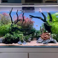 آکواریوم بزرگ