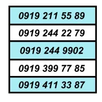 0919.399.699.1|سیم‌کارت|تهران, تهرانسر شمالی|دیوار