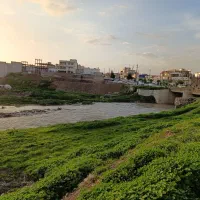 نیازمند پرستار خانم