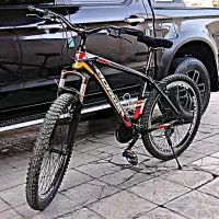 دوچرخه مورگان اصل تنه بلند حرفه ای
