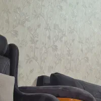 باریستا خانوم