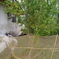 ویلا|فروش خانه و ویلا|رشت, شهرک شهید رجایی|دیوار