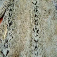 فروش پالتو|لباس|صدرا-فارس, فاز ۱|دیوار