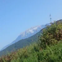 کارت ملی گمشده