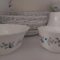 سرویس آرکوپال امارات