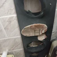 تخته باند پژویی