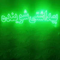 نیون شوینده و بهداشتی|فروشگاه و مغازه|تهران, مسعودیه|دیوار