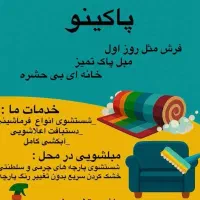 قالیشویی و مبلشویی پاکینو