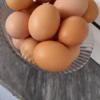 تخم مرغ طبیعی تازه