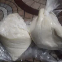 کره حیوانی