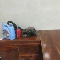 میز مدیریت ال شکل