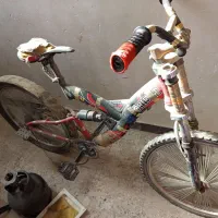 دپچرخه تمیز در حد خشک