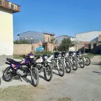 تریل آمیکو 186