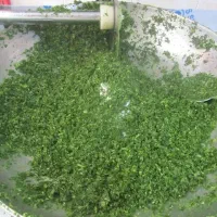 سبزیحات سبزی  خوزستان