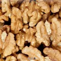 گردو و مغز گردوی با کیفیت