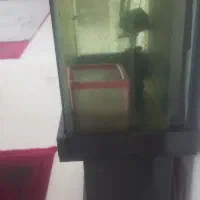 اکواریوم کامل