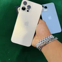 13پرومکس رنگ گلد