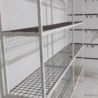 قفسه محکم|کتابخانه، شلف، قفسههای دیواری|بندر کنگان, |دیوار