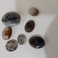 نگین شجر قائن|کلکسیون اشیاء عتیقه|مشگین شهر, |دیوار