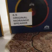 فروش باند ۶/۵اینچی یا بلند گو|قطعات یدکی و لوازم جانبی|بم, |دیوار