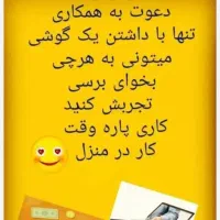 کار در منزل برای بانوان