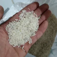 برنج فجر سوزنی