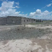 مرغداری گوشتی نیمه ساز|فروش دفتر صنعتی، کشاورزی، تجاری|زاوه, |دیوار