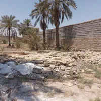 پنصد-متر-زمین