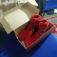 کفش کشتی اسیکس