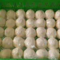 کـره دوغی (گاو)