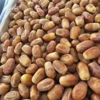 قصب ،یا خرمای زاهدی