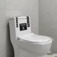 توالت فرنگی